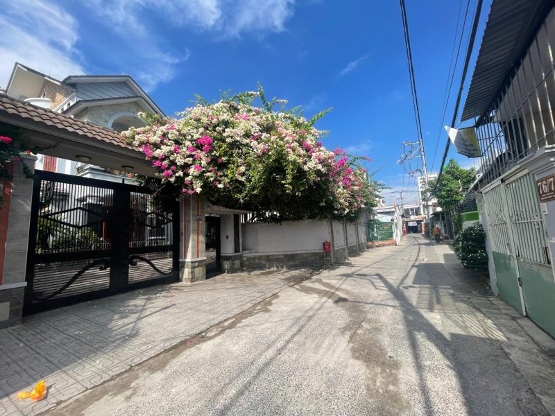Bán đất phan văn hớn – tân thới nhất q12 – 230m² – ngang 8m – giá 20 tỷ - 3
