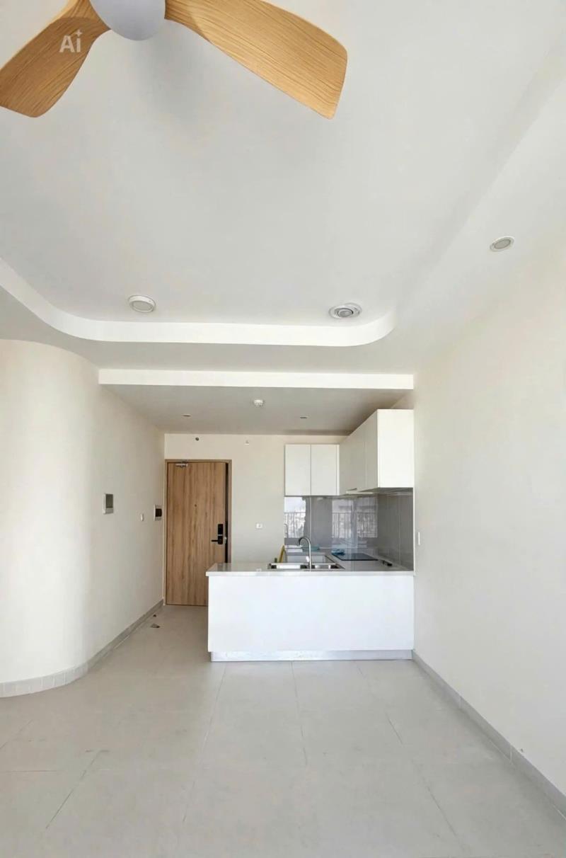 Thuê căn hộ cao cấp tại quận 8 - 2