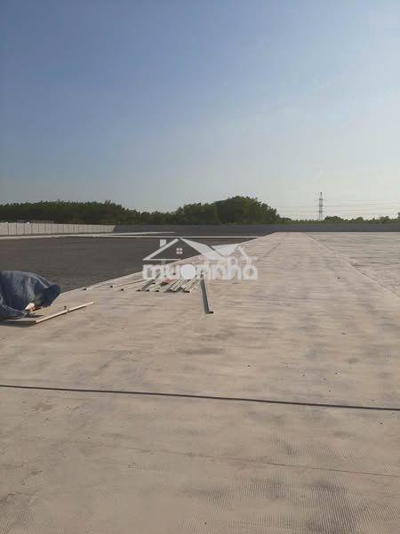 Cho thuê đất trong khu công nghiêp thửa thừa ,tỉnh long an  - 3