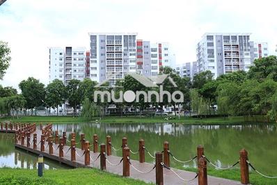 Cho thuê shophouse celadon city, hương lộ 3 quận tân phú - Ảnh 3