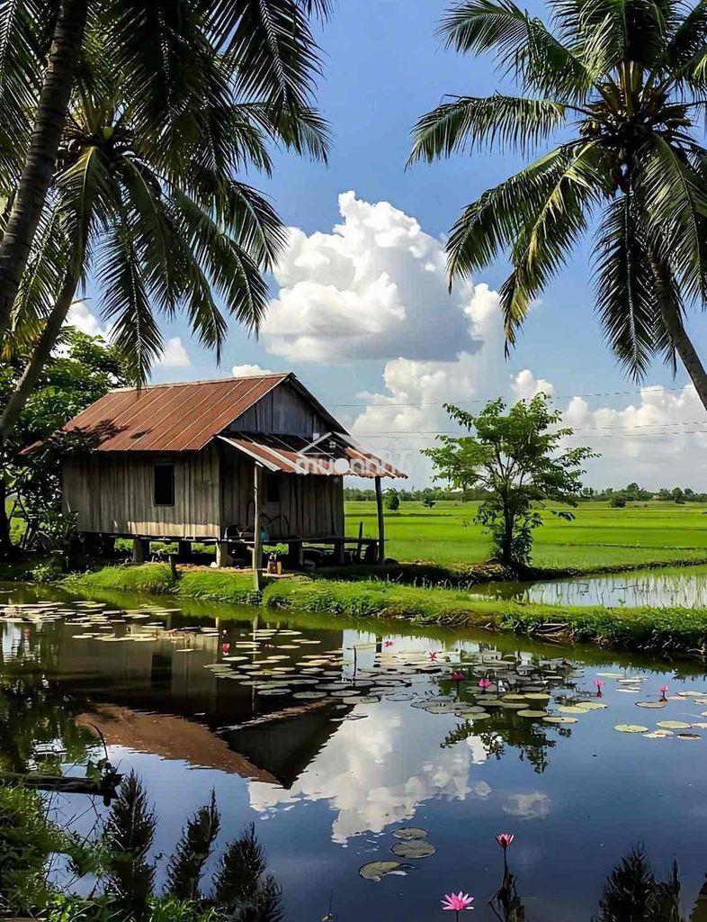 Bán 500m2 đất vườn bao chuyển thổ 575tr - 3