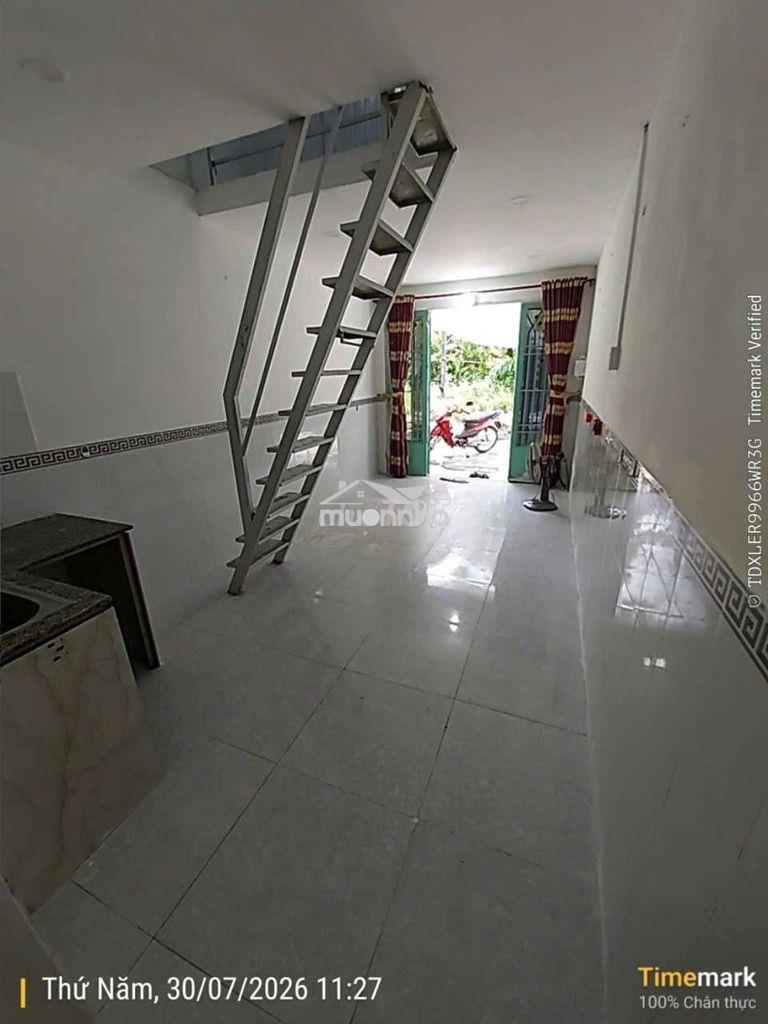 Cho thuê nhà xã phong phú ql50 đường trịnh quang nghị - 4