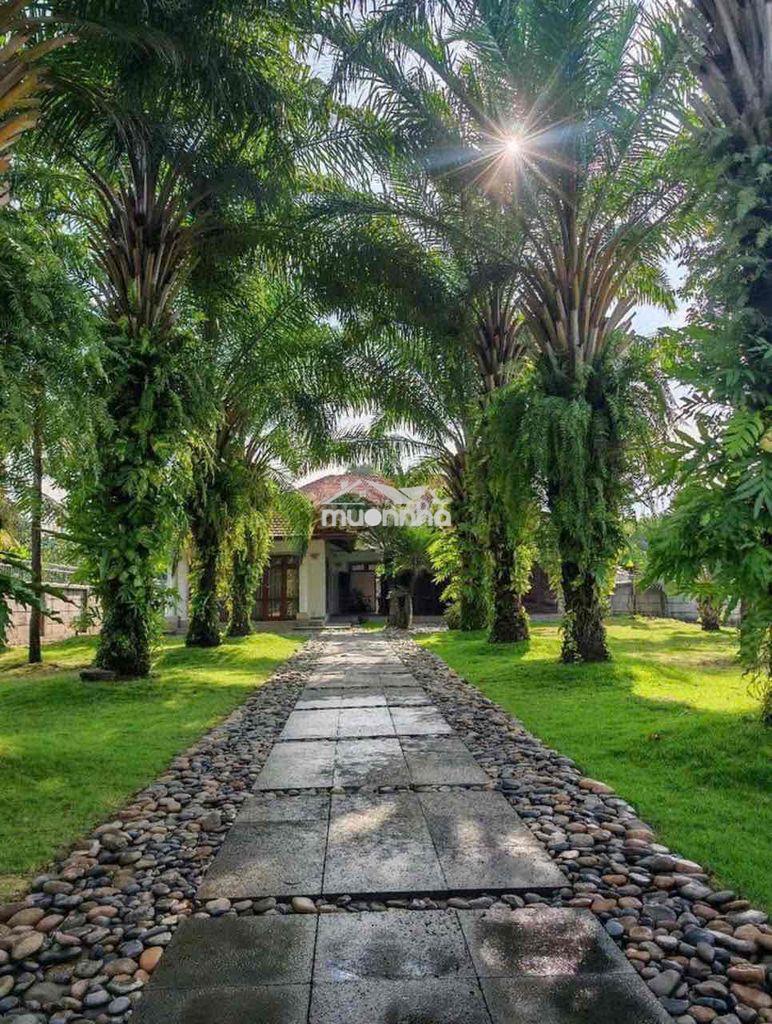 Cho thuê nhà vườn sinh thái (3pn, full nội thất)hương lộ 15, tân triều - 3