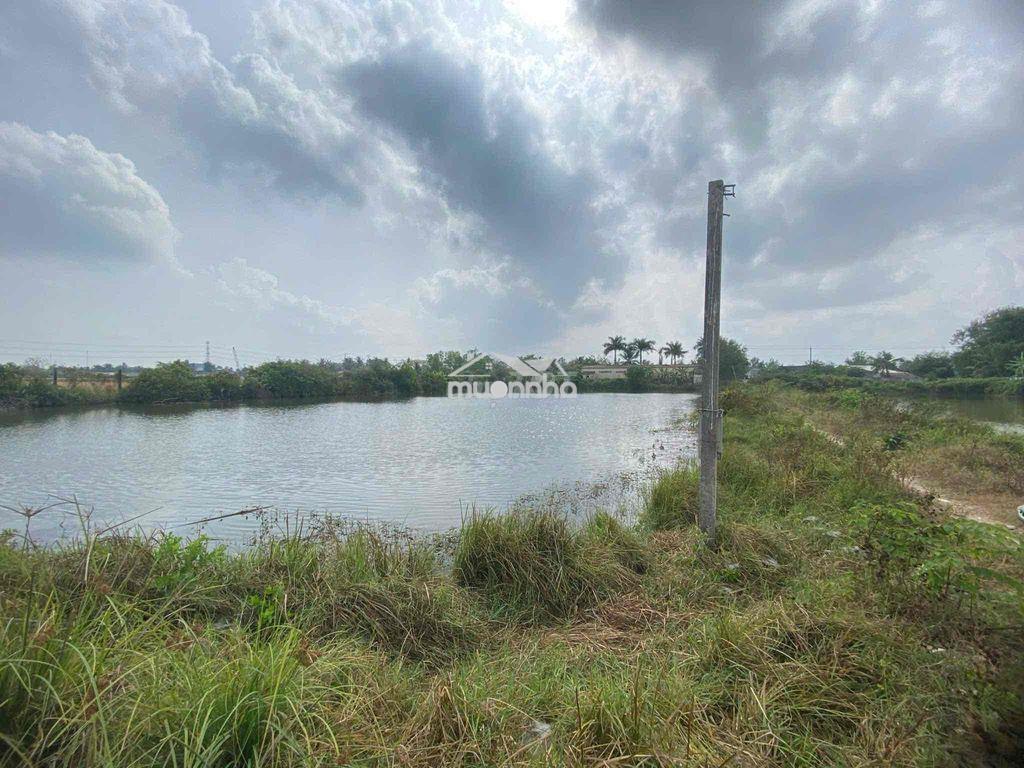 Nhà đất + trại nuôi gà - 3