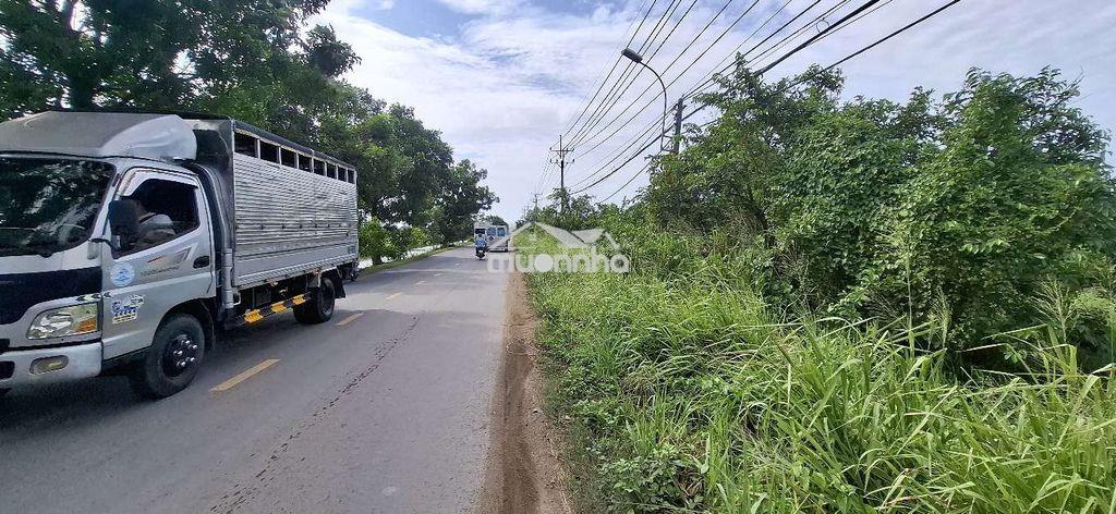 Bán đất đường trần đại nghĩa, bình chánh. dt 1700m² - 3