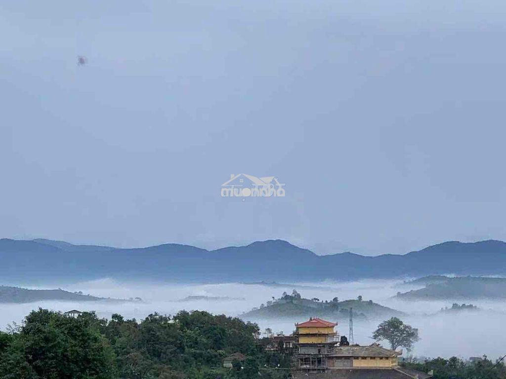 Bán lỗ đất có thổ cư, view săn mây sẵn sầu riêng - 2