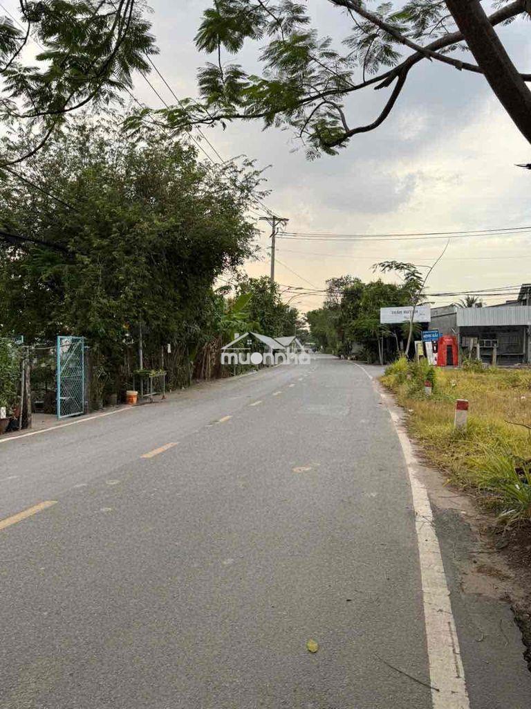 3100m2 đất thổ cư , mt nhựa nhị bình 3 , xã nhị bình , hóc môn - 3