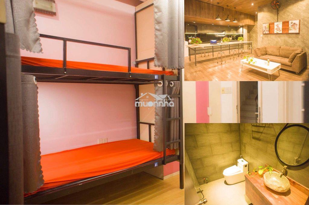 Đại học hoa sen hsu cao thắng điện biên phú phòng sinh viên văn phòng - 2