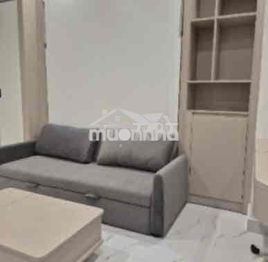 Cho thuê căn hộ 1pn cao cấp vinhomes - Ảnh 2