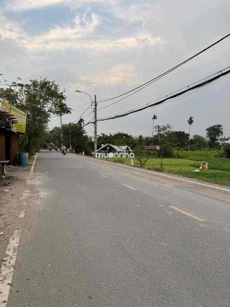 3100m2 đất thổ cư , mt nhựa nhị bình 3 , xã nhị bình , hóc môn - 2