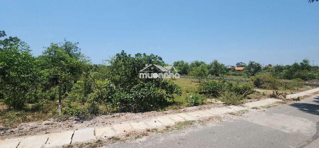 Lô đất view rừng, 1000m2, cách biển hồ tràm 500m, shcc,tiện kd du lịch - 3