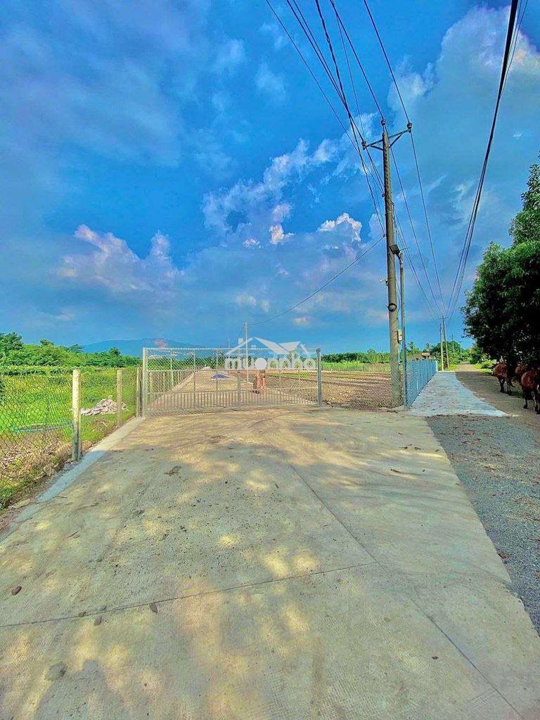 Đất view núi chứa chan đường bê tông 6m có vỉa hè giá rẻ. - 4