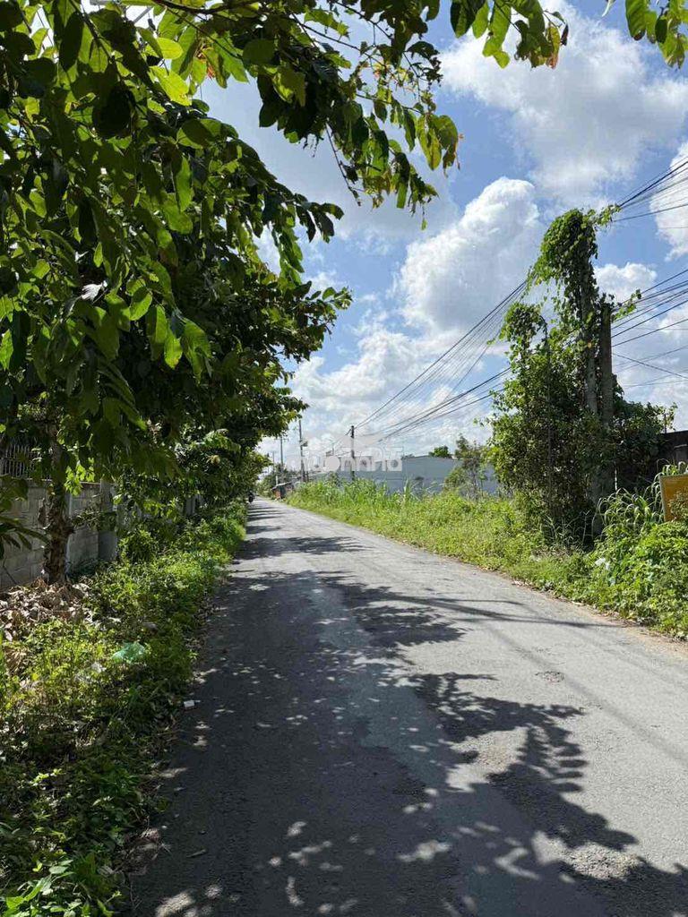 Bán 1500m2 đất mặt tiền kcn giao long - 2