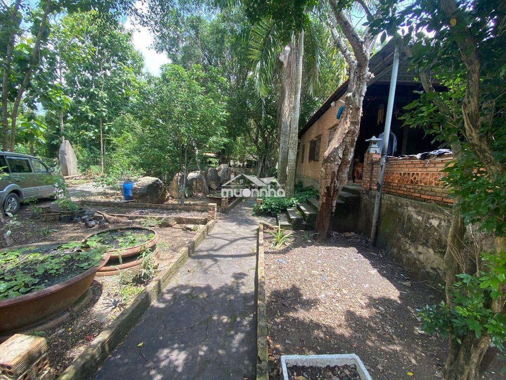 Bán vies nghi dưỡng 1,4ha có đầy đủ tiện nghi,mua vào là ở.giá rẽ - 4