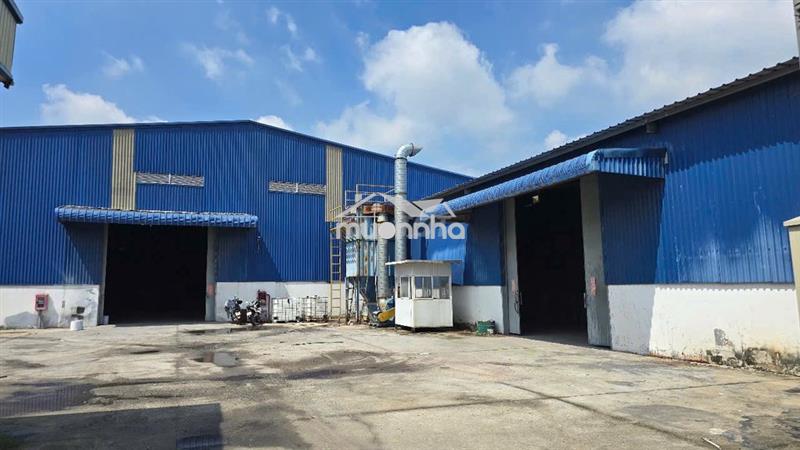 Cho thuê 2400m2 xưởng vĩnh tân ,tân uyên ,giá : 160 triệu, đường cont 