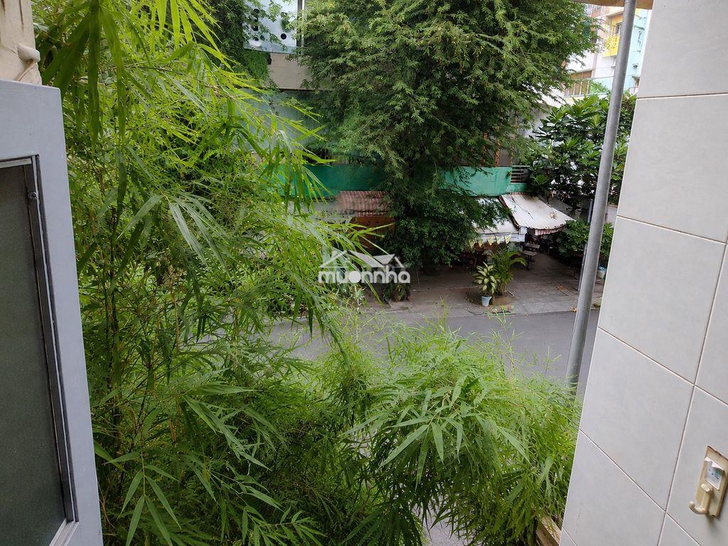 Phòng trọ gần đại học kinh tế ueh, sài gòn, sư phạm, tự nhiên - Ảnh 3