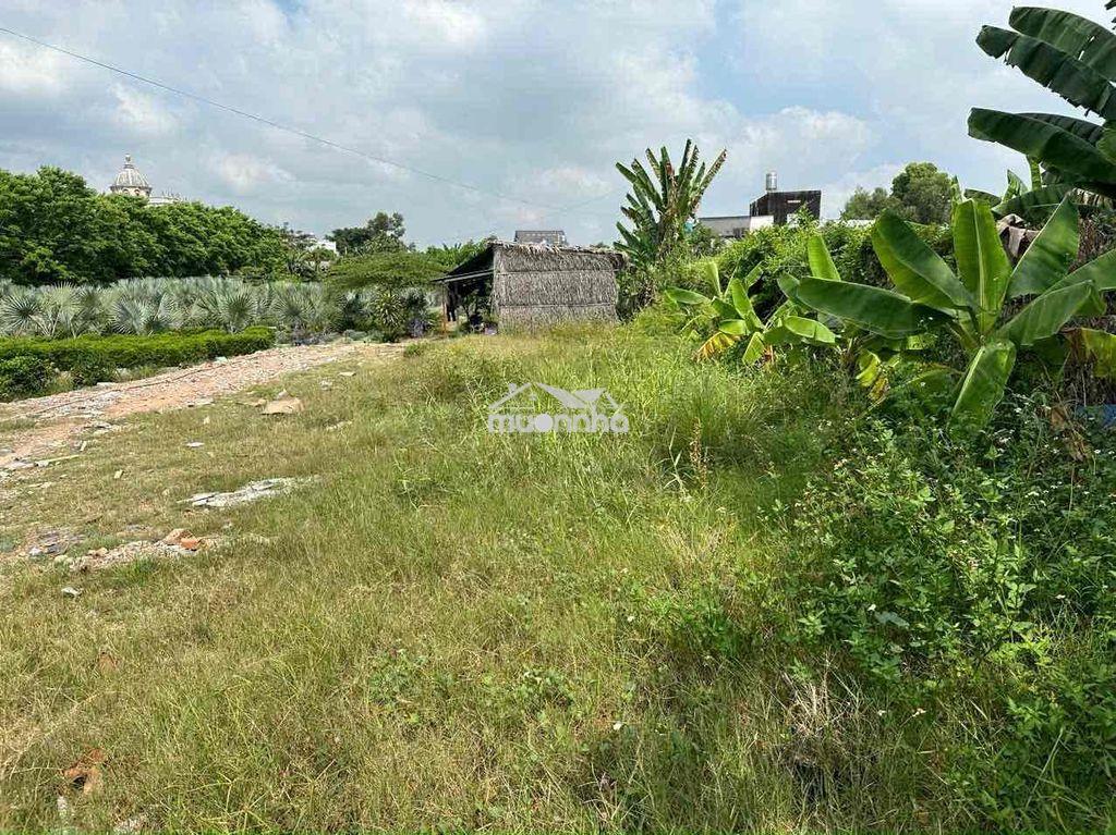 Bán đất trung tâm hóc môn - 3