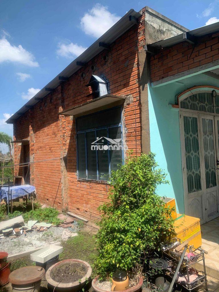 Cần cho thuê căn nhà 1 khách,1 phòng và bếp, tolet đầy đủ - 3