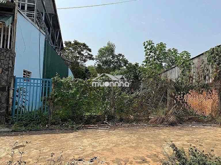Cần bán đất thổ cư.
