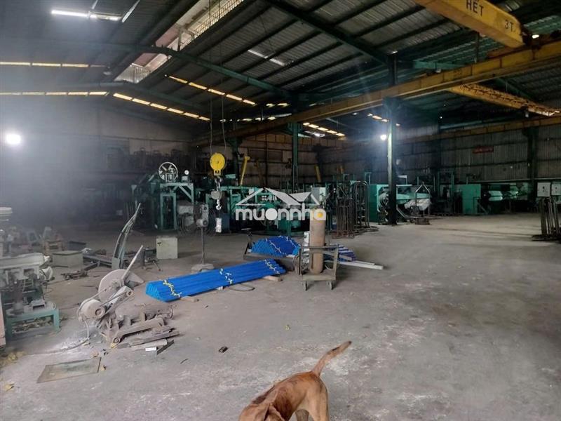 Bán nhà xưởng mặt tiền liên ấp 123, dt 40mx41m vuông vức, full thổ cư