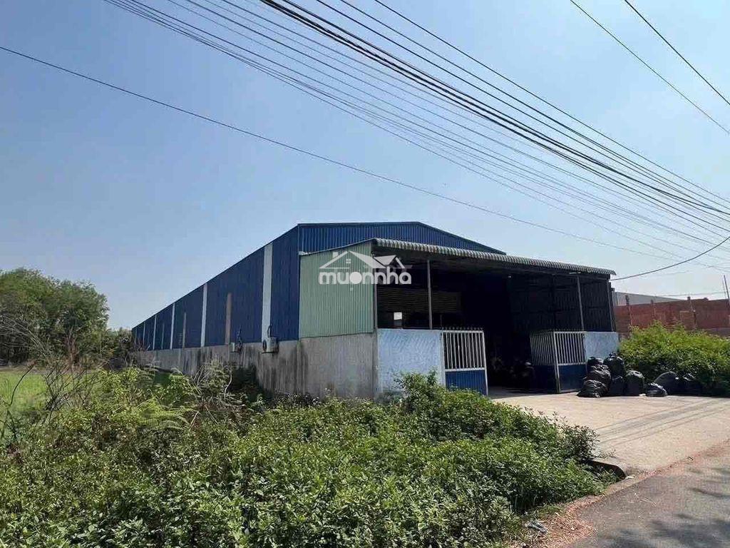 Nhà xưởng giá quá hạt dẻ - 3