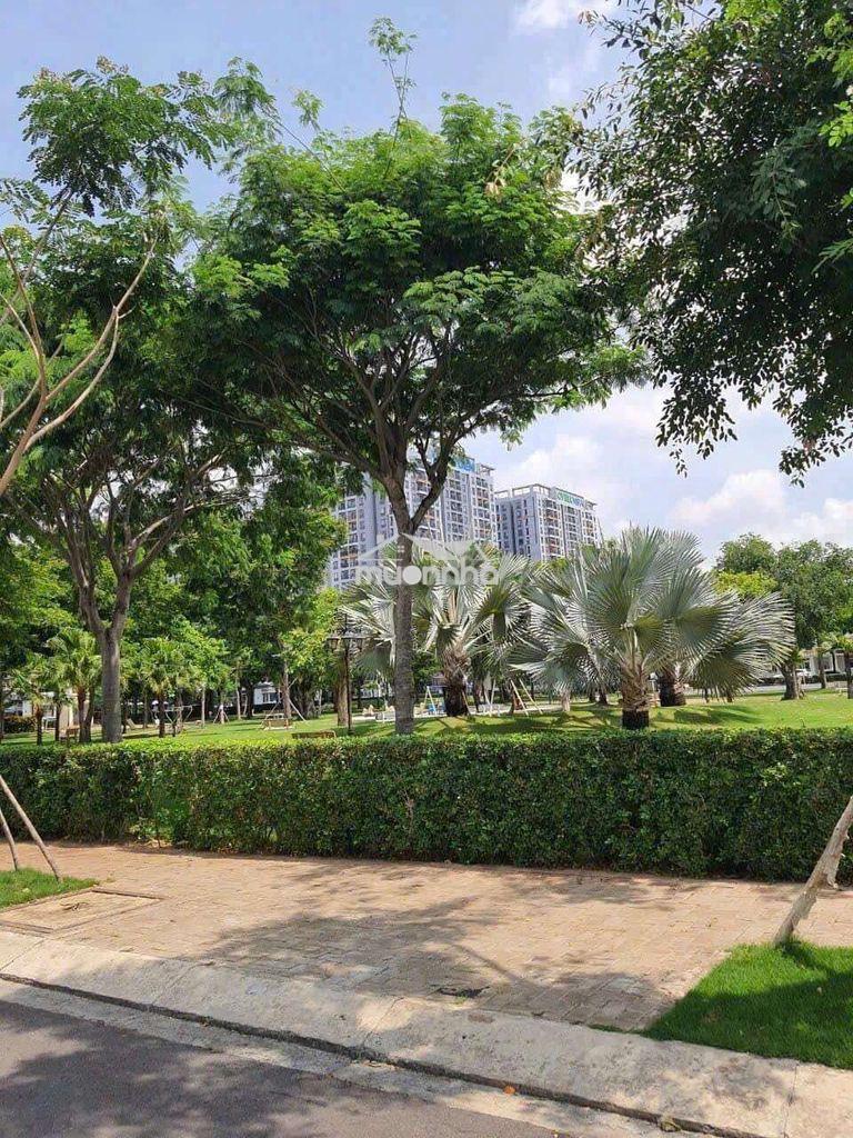 Bán căn biệt thự song lập 112m ngang 8m  đối diện công viên - 4