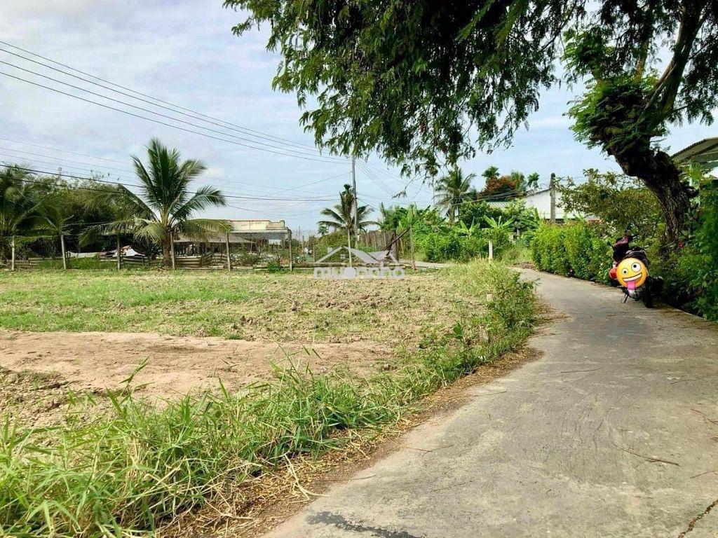 📣 Bán đất thổ cư 100% – chính chủ – 134,5m² – cách dt833 chỉ 100m - 3