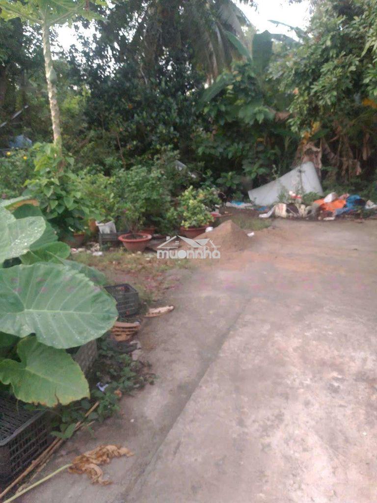 Bán đất trong hẻm, sát chợ cua, gần bệnh viện vĩnh long - 2