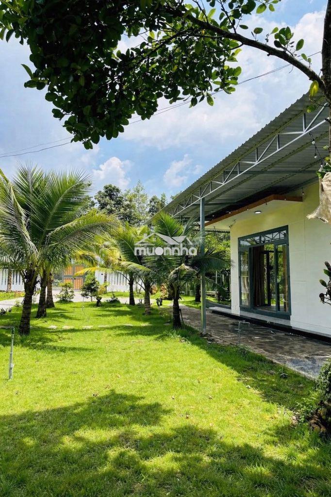 🌿 Vườn sinh thái trung tâm phường dầu giây 1,3 tỷ được 1090m2 cực đẹp!