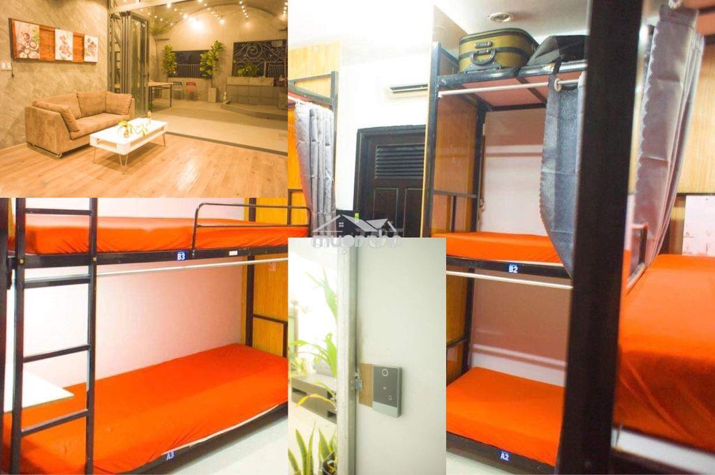Đại học mở võ văn tần nguyễn đình chiểu phòng ghép sinh viên văn phòng - Ảnh 2