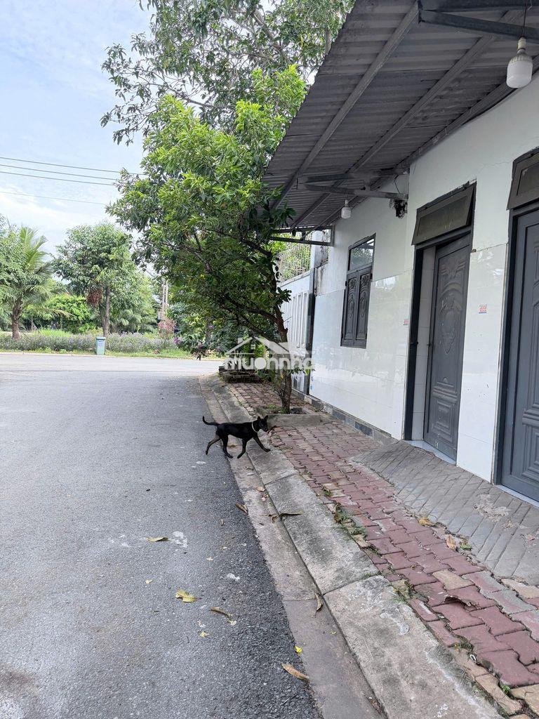 Cho thuê phòng trọ có gác, khu dân cư vĩnh phú 1, phòng mới  - 4