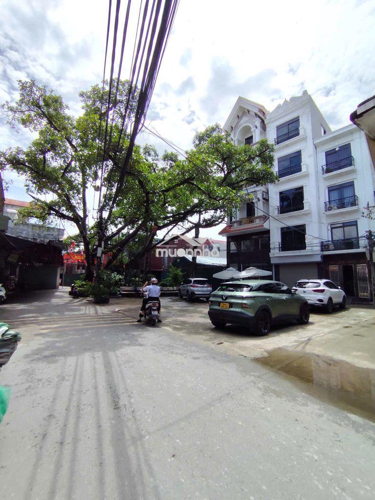 Cc bán đất thanh lương bích hòa gần cầu thạch bích 42m2*3.x tỷ - 4