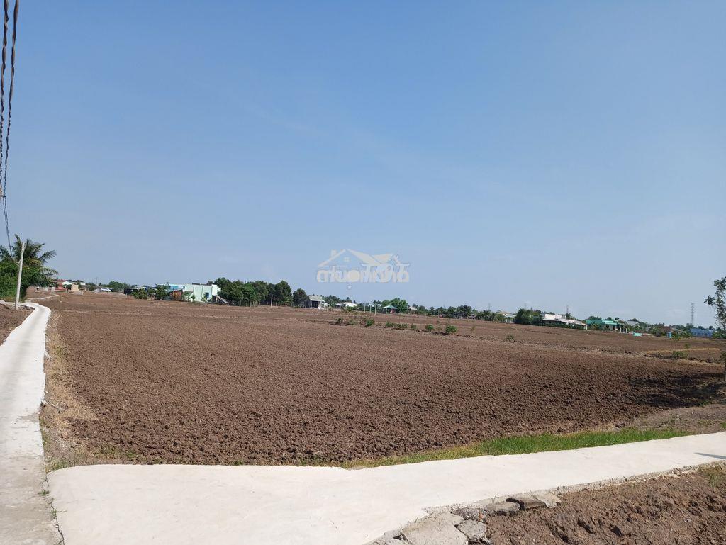 Đất sổ hồng xã vang quới tây  - 2