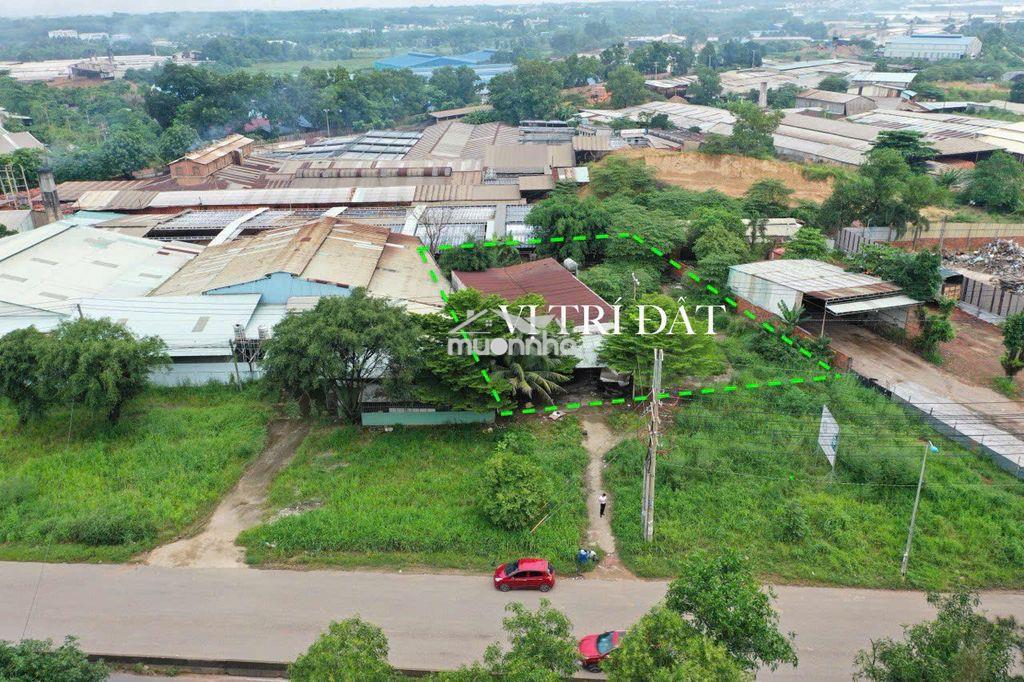 Bán đất 1.042m² – an phước, long thành - 4