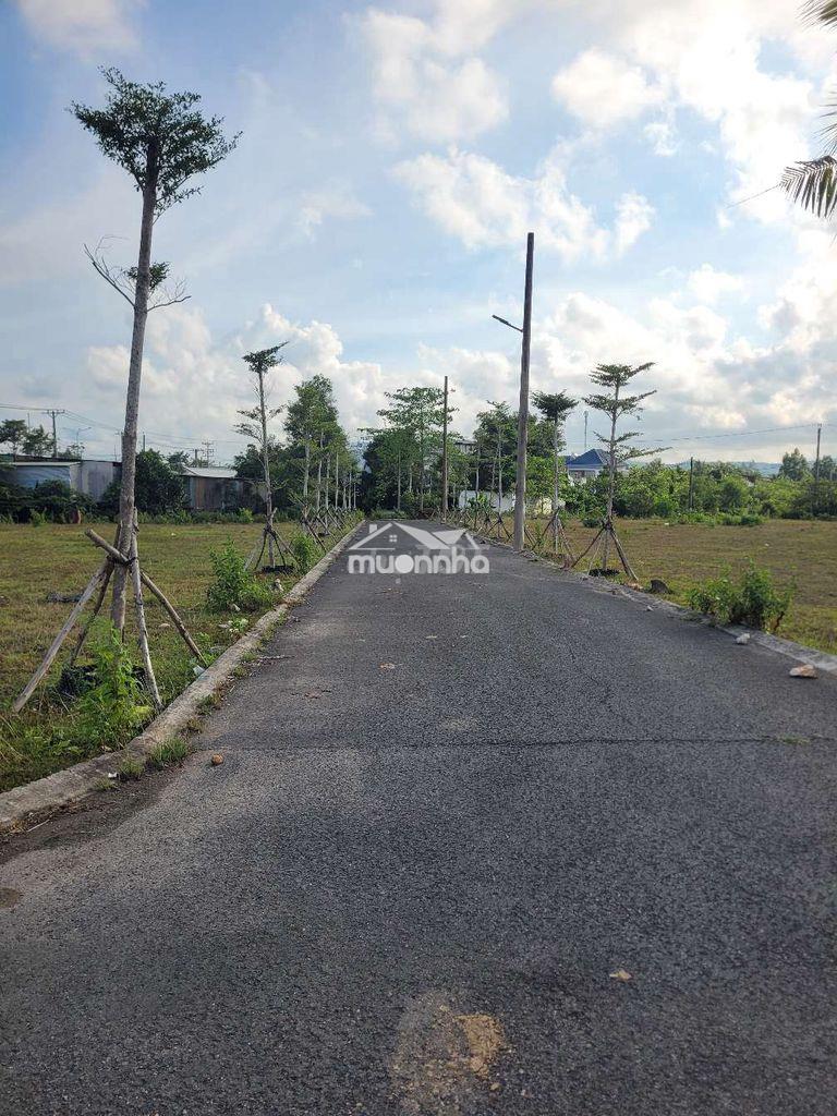 Bán đất chính chủ.diện tích 336m2 giá rẻ nhất phú quốc - Ảnh 2