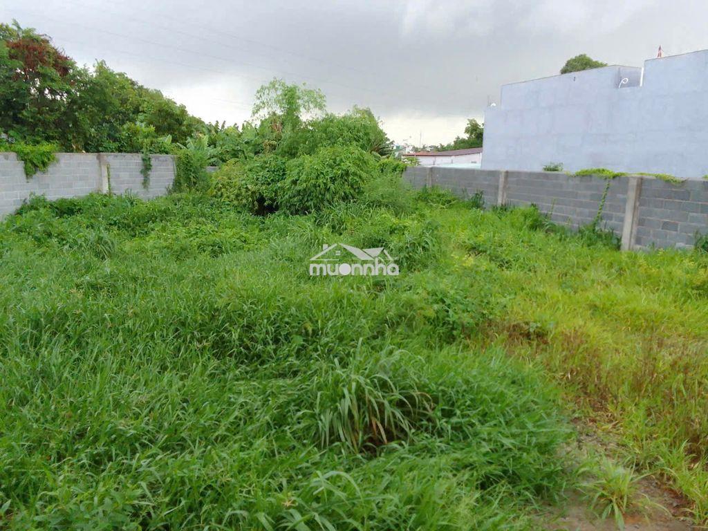 Bán đất 529m2 ở biên hòa, giá 3.3 tỷ, sổ  hồng riêng - 4