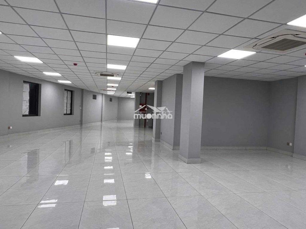 Cho thuê nhà nguyên căn mặt tiền đường lê trọng tấn tân phú - Ảnh 2