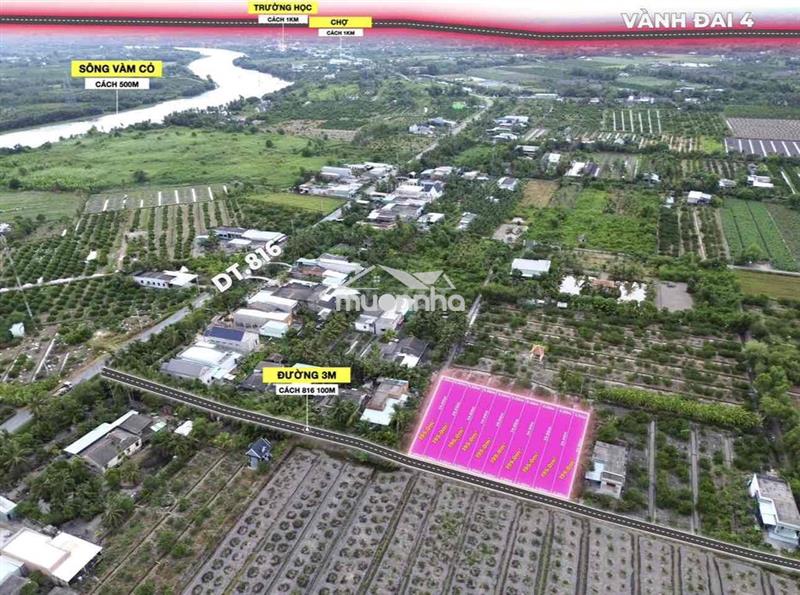 Bán nền thổ 5x39(195m2). ấp 5 thạnh hoà. đất cách nhựa 100mét