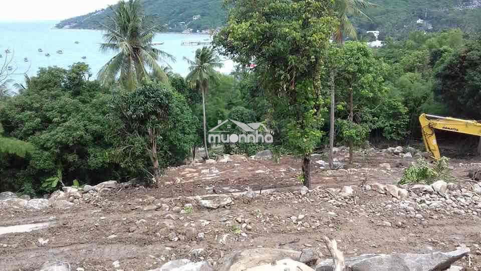 Đất mặt tiền đường lên đỉnh ma thiên lãnh ( hòn sơn) - Ảnh 3