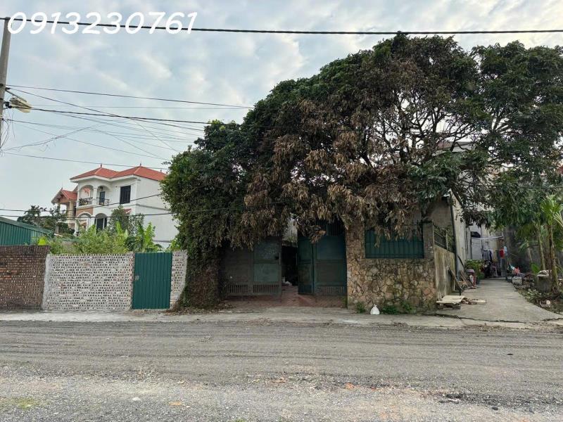 Bán đất tặng nhà view sông đuống – phong thuỷ đẹp tại giang biên, long biên  - Ảnh 2