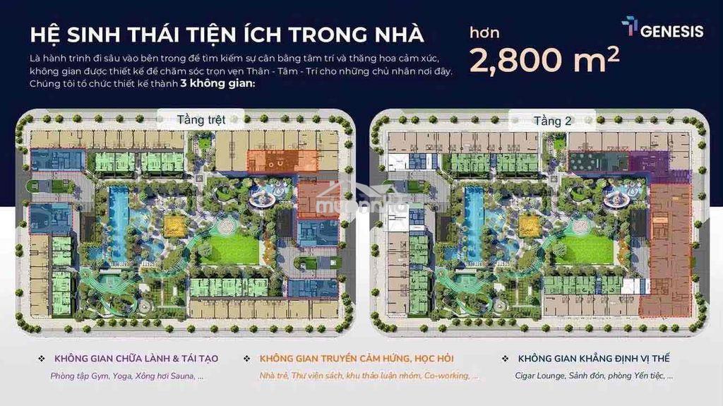Tt genesis - đóng 29 triệu/tháng sở hữu ngay căn hộ ngay phú mỹ hưng - Ảnh 4