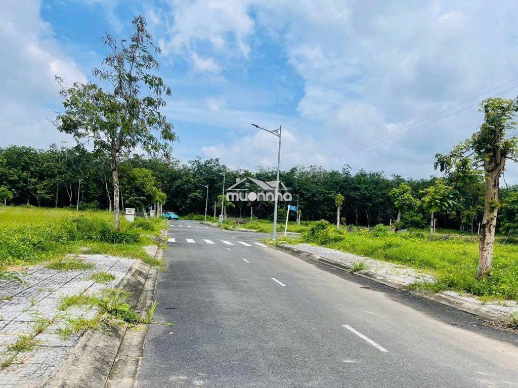 Mặt tiền đường nhựa ,vỉa hè 4m ngay khu công nghiệp bàu xéo - Ảnh 2