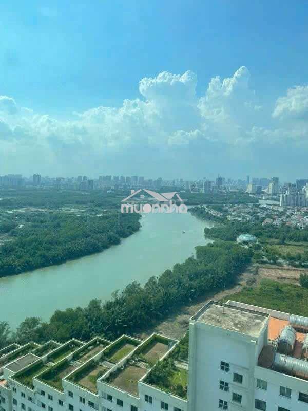 🌺Bán penthouse thông tầng*shr fullntcc*cc bellezaq7*dt 185m2*9.5 tỷ - 4