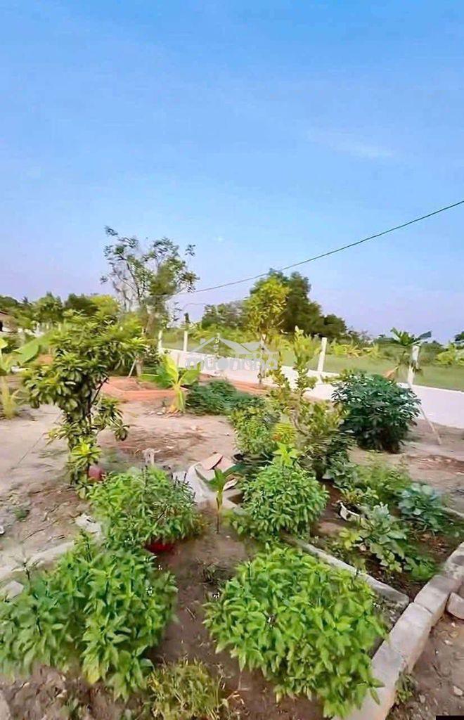 Bán gấp tặng nhà vườn 390đ - 4