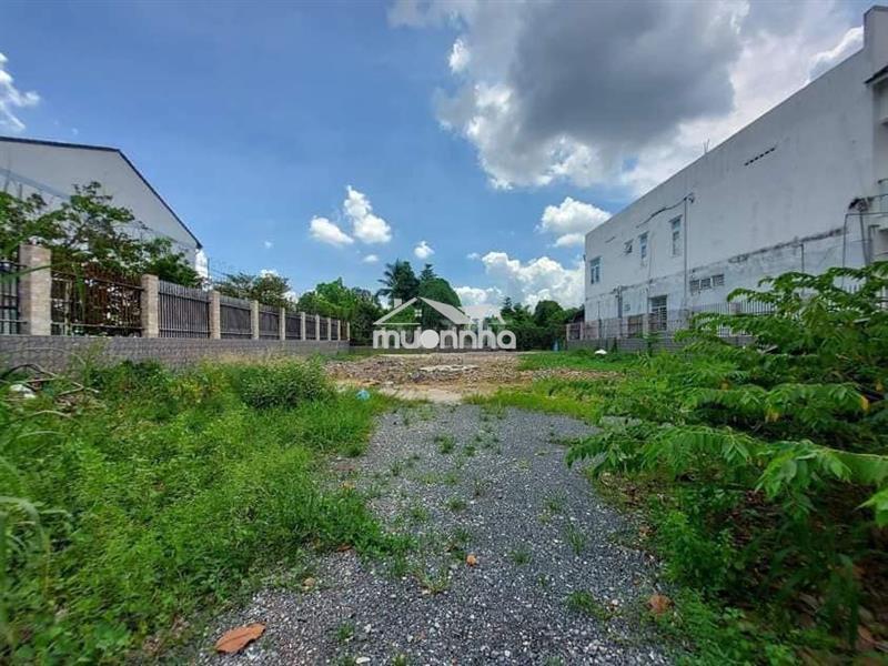 Bán gấp 10x50=500m2 shr thổ cư sát chợ, dân đông giá 700tr
