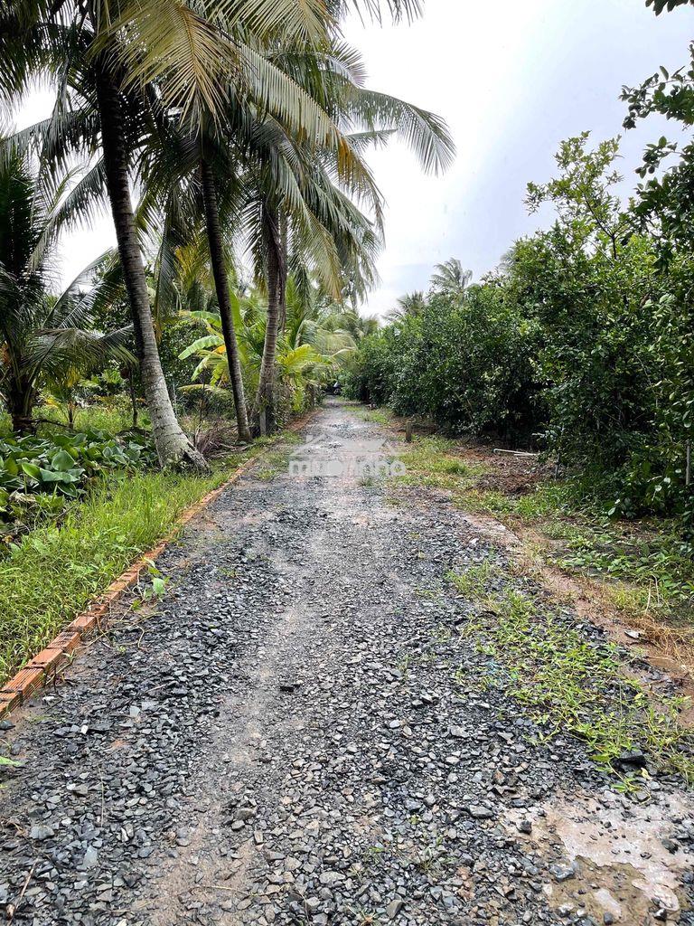 Bán đất long hưng, tiền giang, đồng tháp. 17,56mx 27m= 474m, đường ôtô