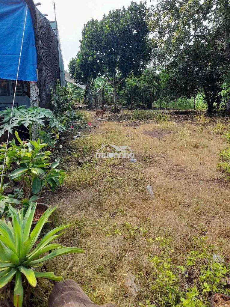 Bán rẻ lô đất bình lộc - Ảnh 3