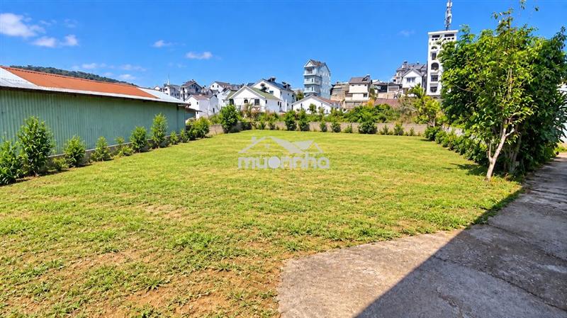 Bán 301,25m² đất hoàng văn thụ p5 đà lạt – 200m² thổ cư – hẻm ô tô