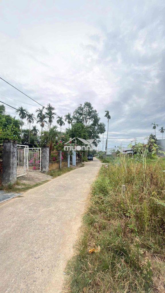 Bán đất hoà tiến — đường liên tổ 123 — nguyễn bá tùng - Ảnh 3