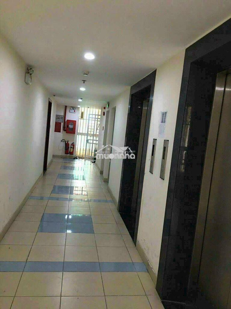 Căn hộ c.c đông hải 47m2 2pn / 2wc sổ hồng riêng  - Ảnh 2